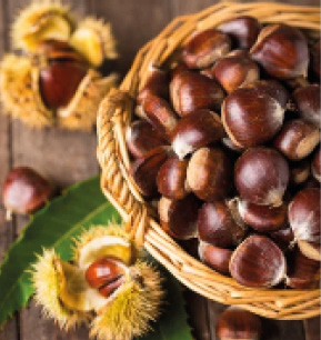 Châtaignes et marrons : les trésors gourmands de l’automne
